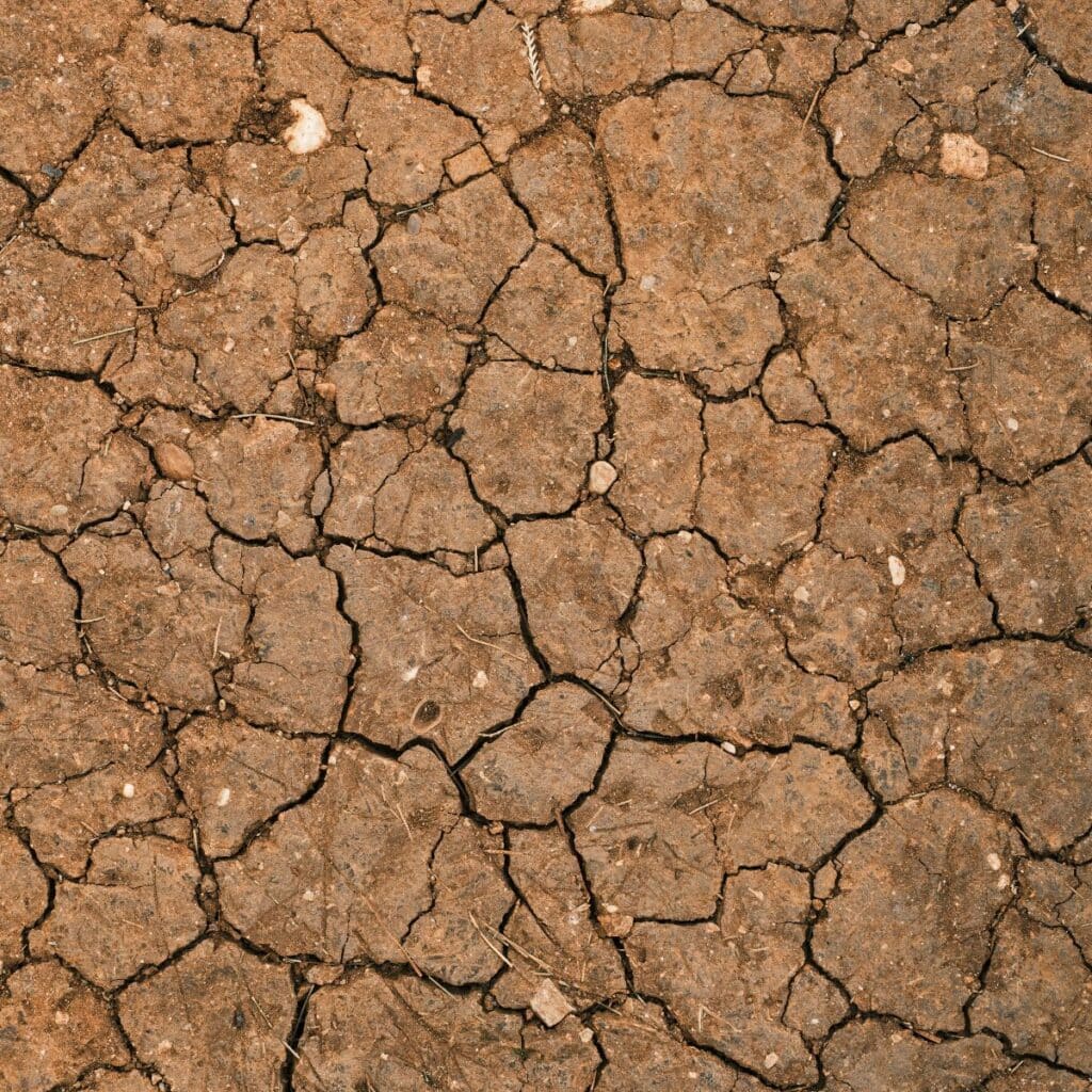 Has Your Water Well Dried Up? Look for These 5 Signs.